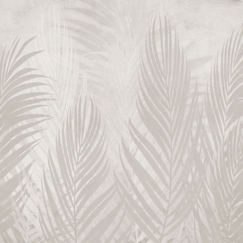 Rimura | Areca