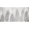 Rimura | Areca