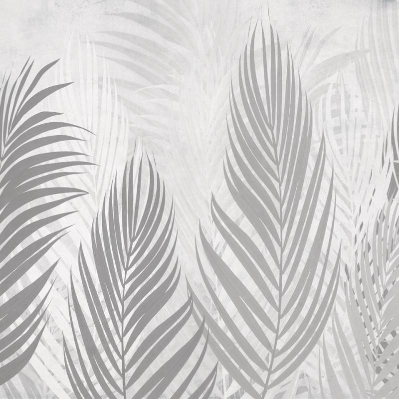 Rimura | Areca