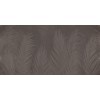 Rimura | Areca