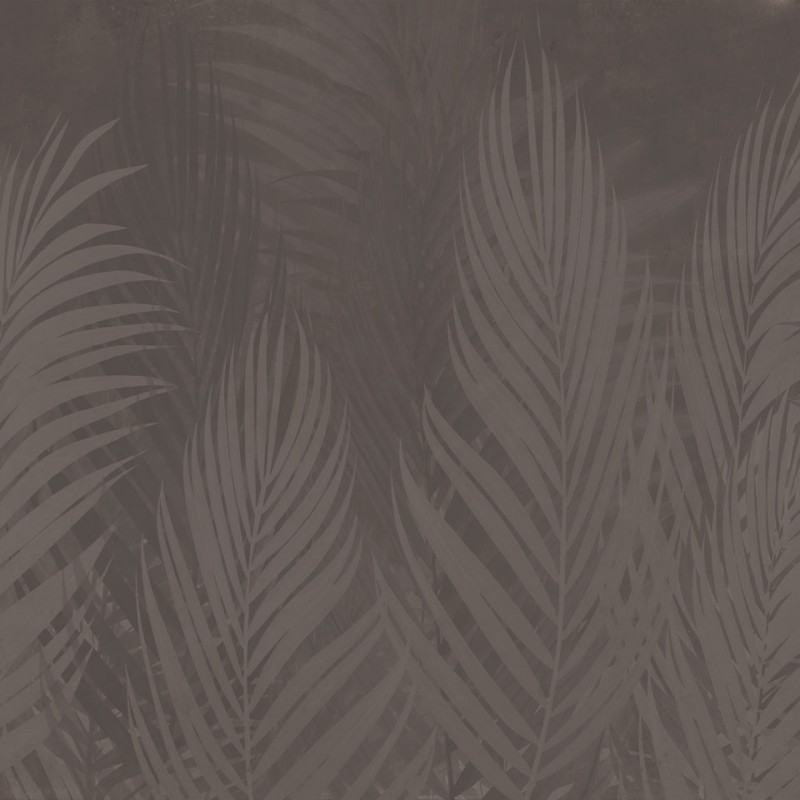 Rimura | Areca