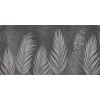 Rimura | Areca
