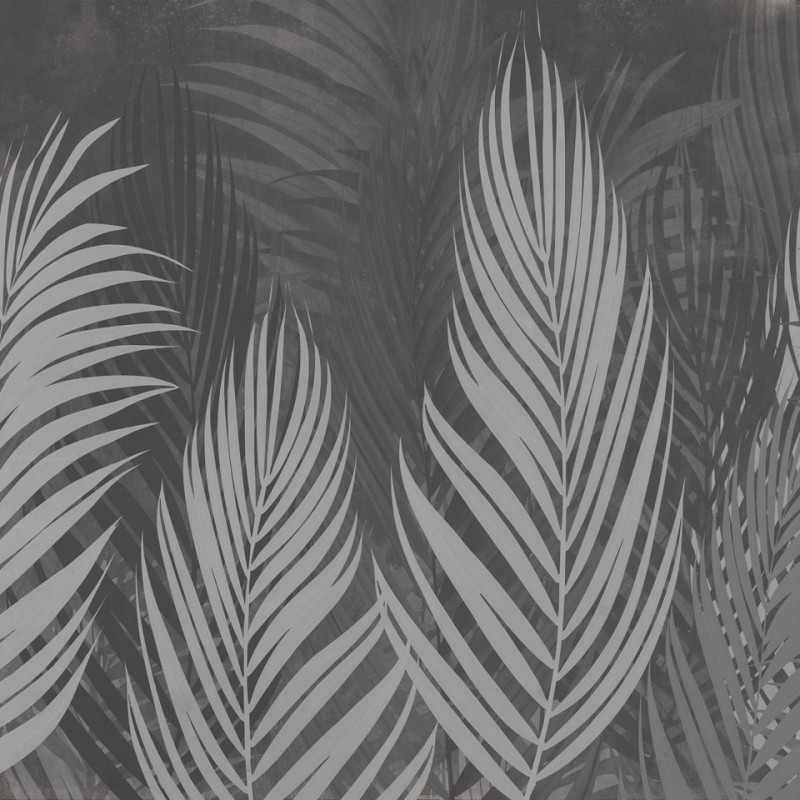 Rimura | Areca