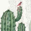 Rimura | Arizona