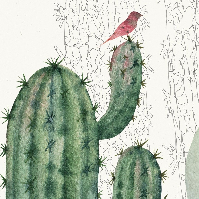 Rimura | Arizona
