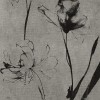 Rimura | Armonia 