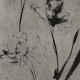 Rimura | Armonia 