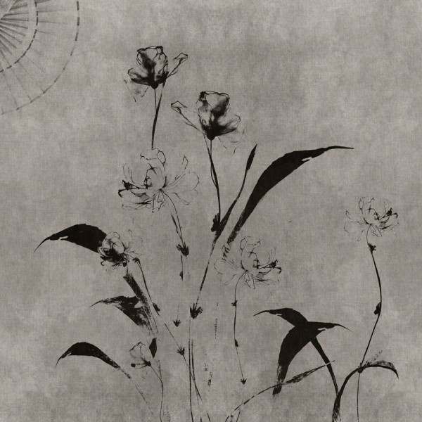Rimura | Armonia 
