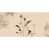 Rimura | Armonia 