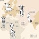 Rimura | Around the world