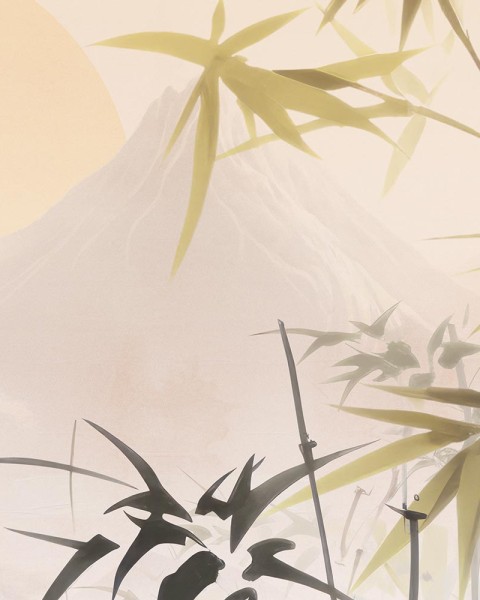 Rimura | Asana