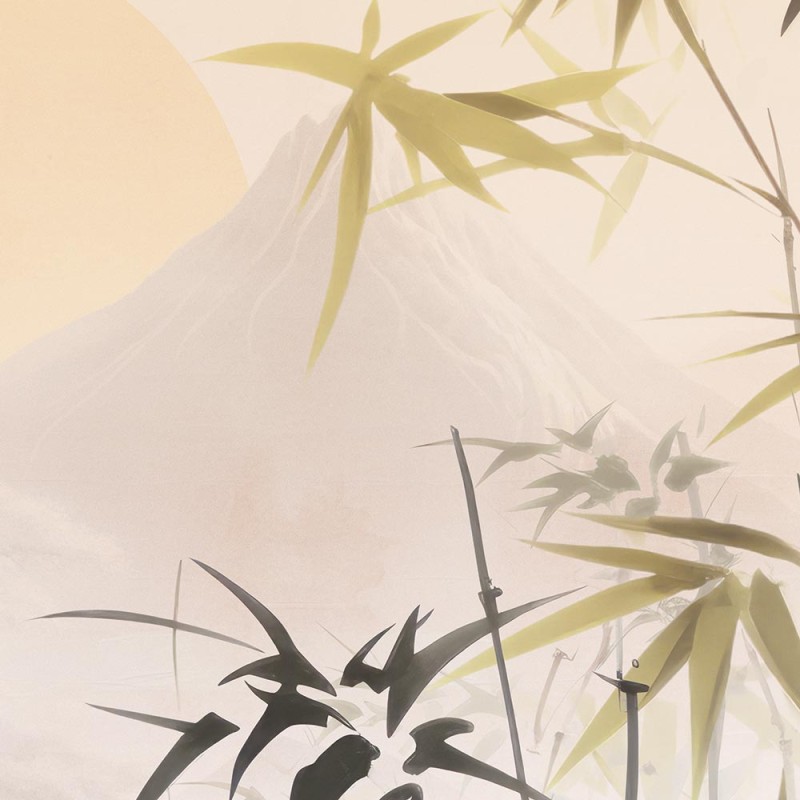 Rimura | Asana