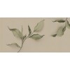 Rimura | Attraverso