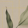 Rimura | Attraverso