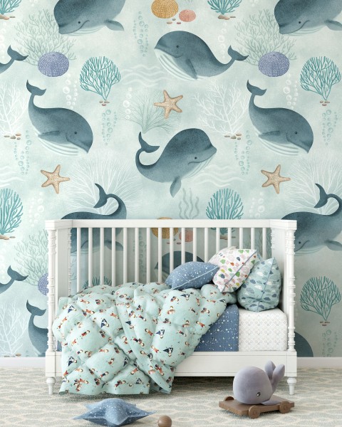 Rimura | Baby Whale