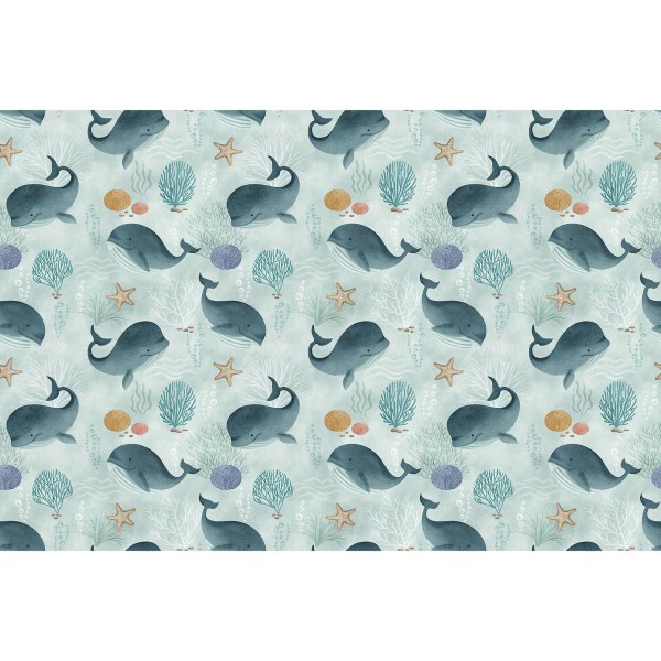 Rimura | Baby whale