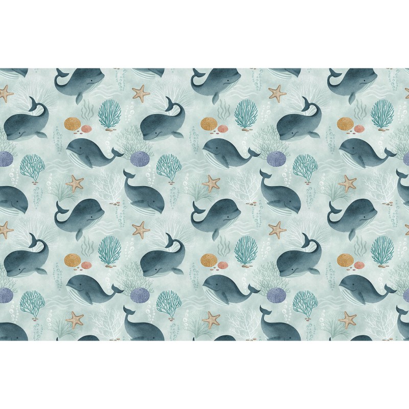 Rimura | Baby whale