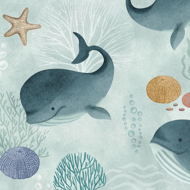 Rimura | Baby whale