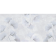 Rimura | Biloba