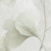 Rimura | Biloba
