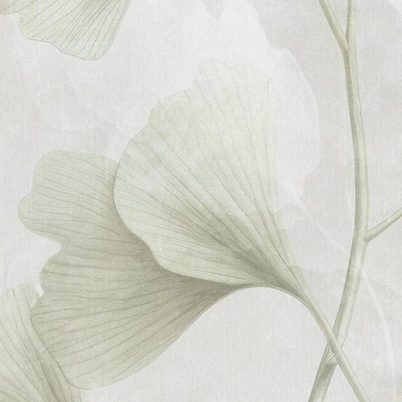 Rimura | Biloba