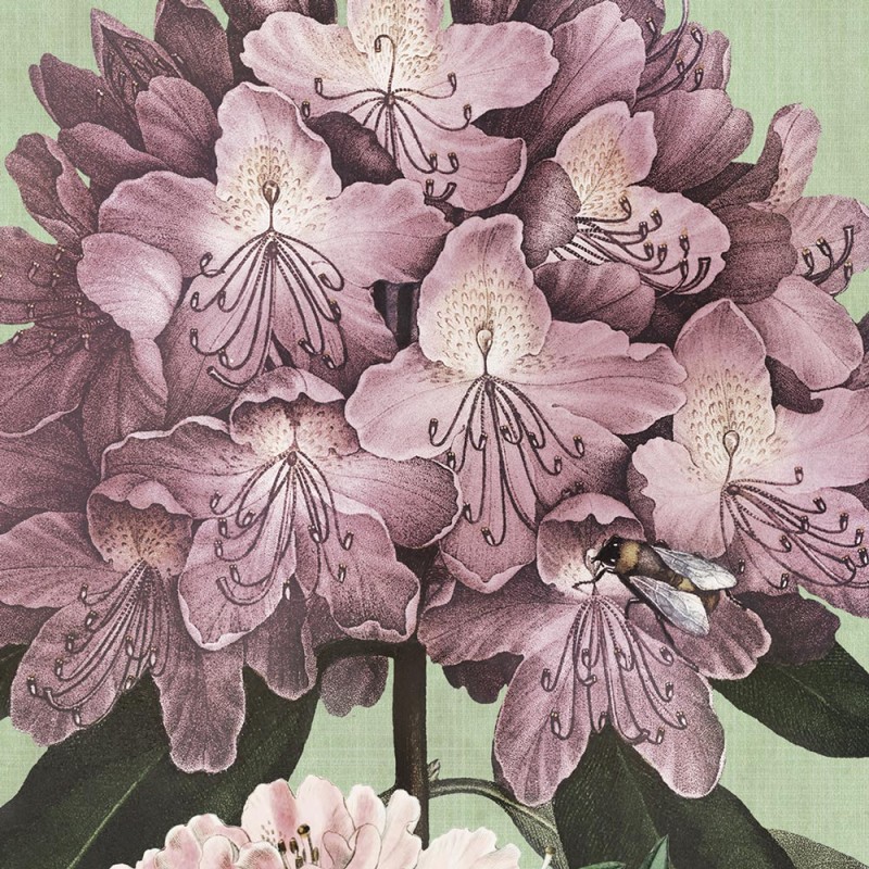 Rimura | Blumen