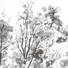 Rimura | Bomen 