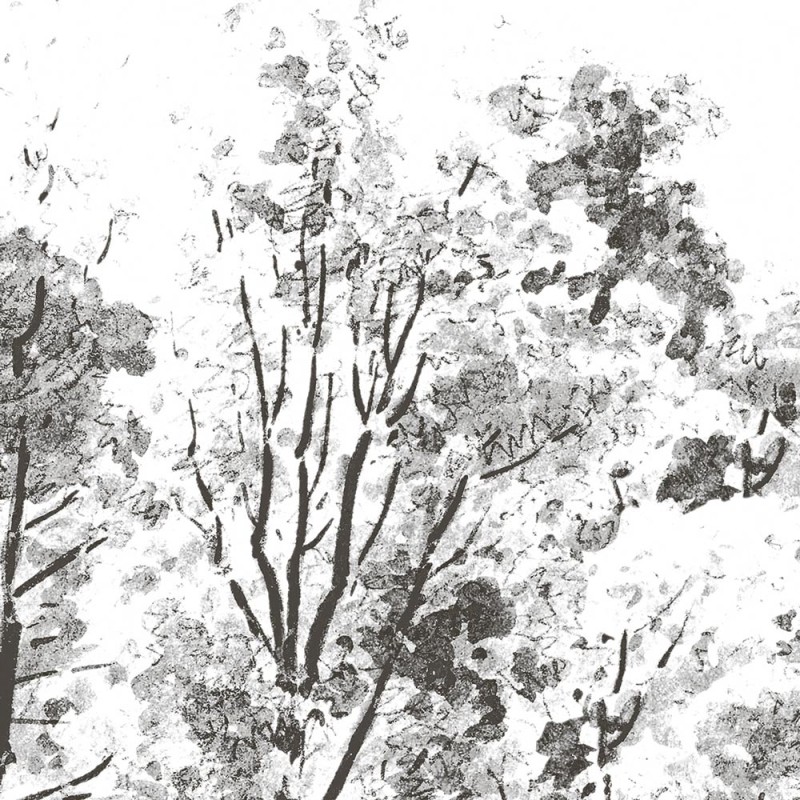 Rimura | Bomen 