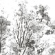 Rimura | Bomen 