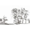 Rimura | Bomen 