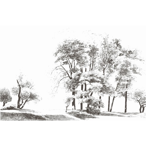 Rimura | Bomen 