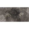 Rimura | Botany