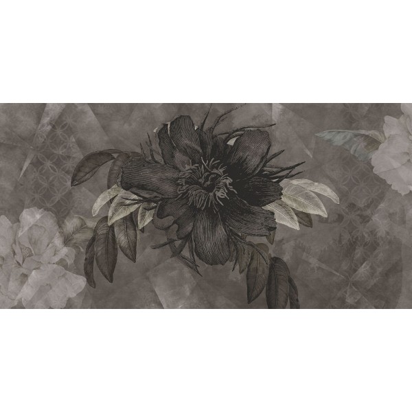Rimura | Botany