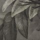 Rimura | Botany