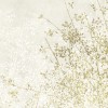 Rimura | Branches