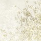Rimura | Branches