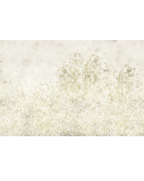 Rimura | Branches