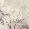 Rimura | Bubble