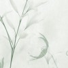 Rimura | Caly