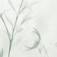 Rimura | Caly