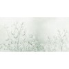 Rimura | Caly