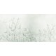 Rimura | Caly