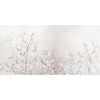 Rimura | Caly