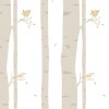 Rimura | Cinguettii