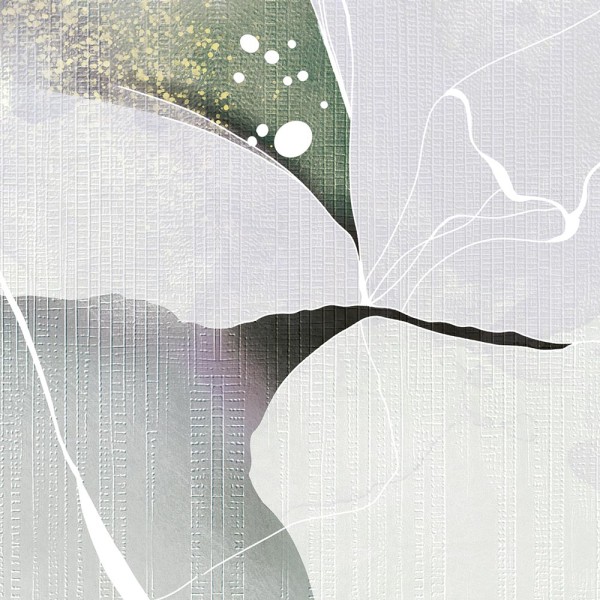 Rimura | Colibri