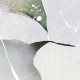 Rimura | Colibri