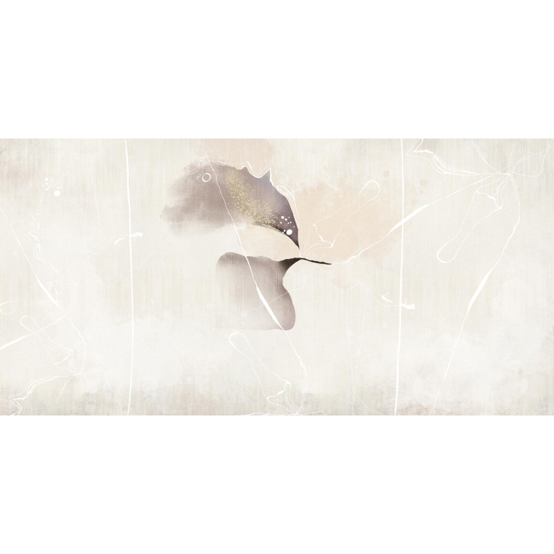 Rimura | Colibri