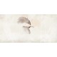 Rimura | Colibri