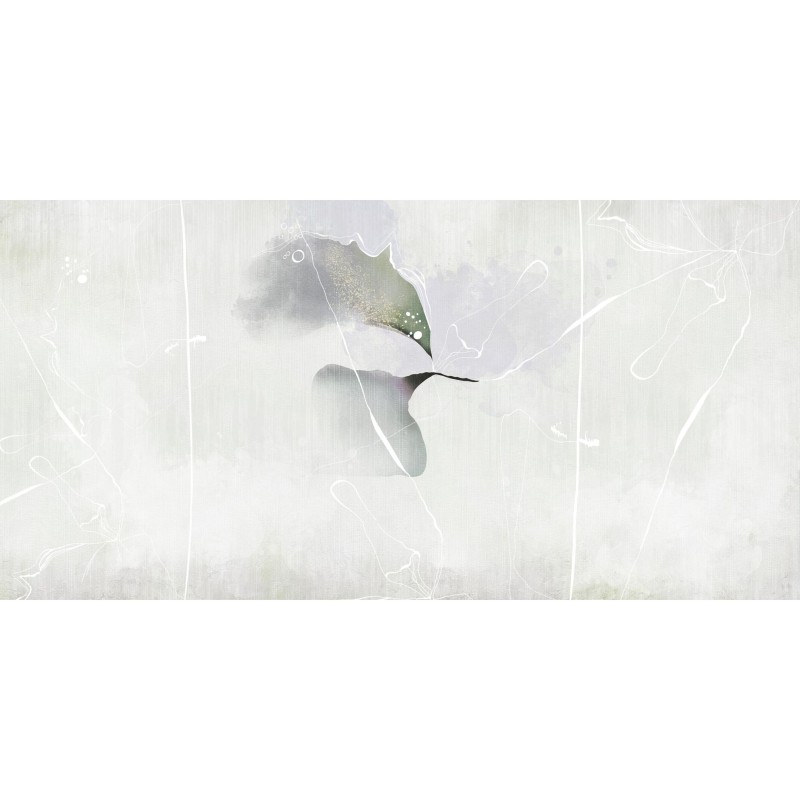 Rimura | Colibri