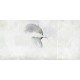 Rimura | Colibri